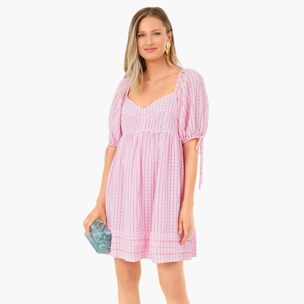 Hyacinth House Pink Gingham Layton mini Dress